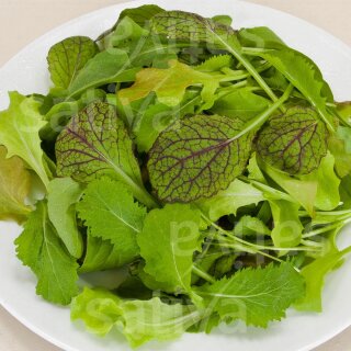Bio-Saatgut: bunte Salatplatte Saatteppich