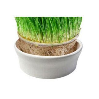 Weizengras-Sieb mit Keramikschale