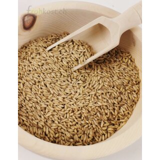 Grains d&rsquo;avoine en grain non étuvé BIO