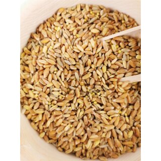 Graines: Mélange de 6 grains