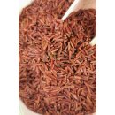 Roter Natur-Vollkornreis (bio), Roter Reis