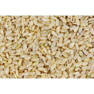 Langkorn-Vollkorn-Reiskörner aus Trockenanbau