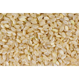 Graines : Riz complet grain rond de lagriculture sèche